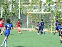 MIS Sports